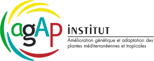 UMR AGAP Institut